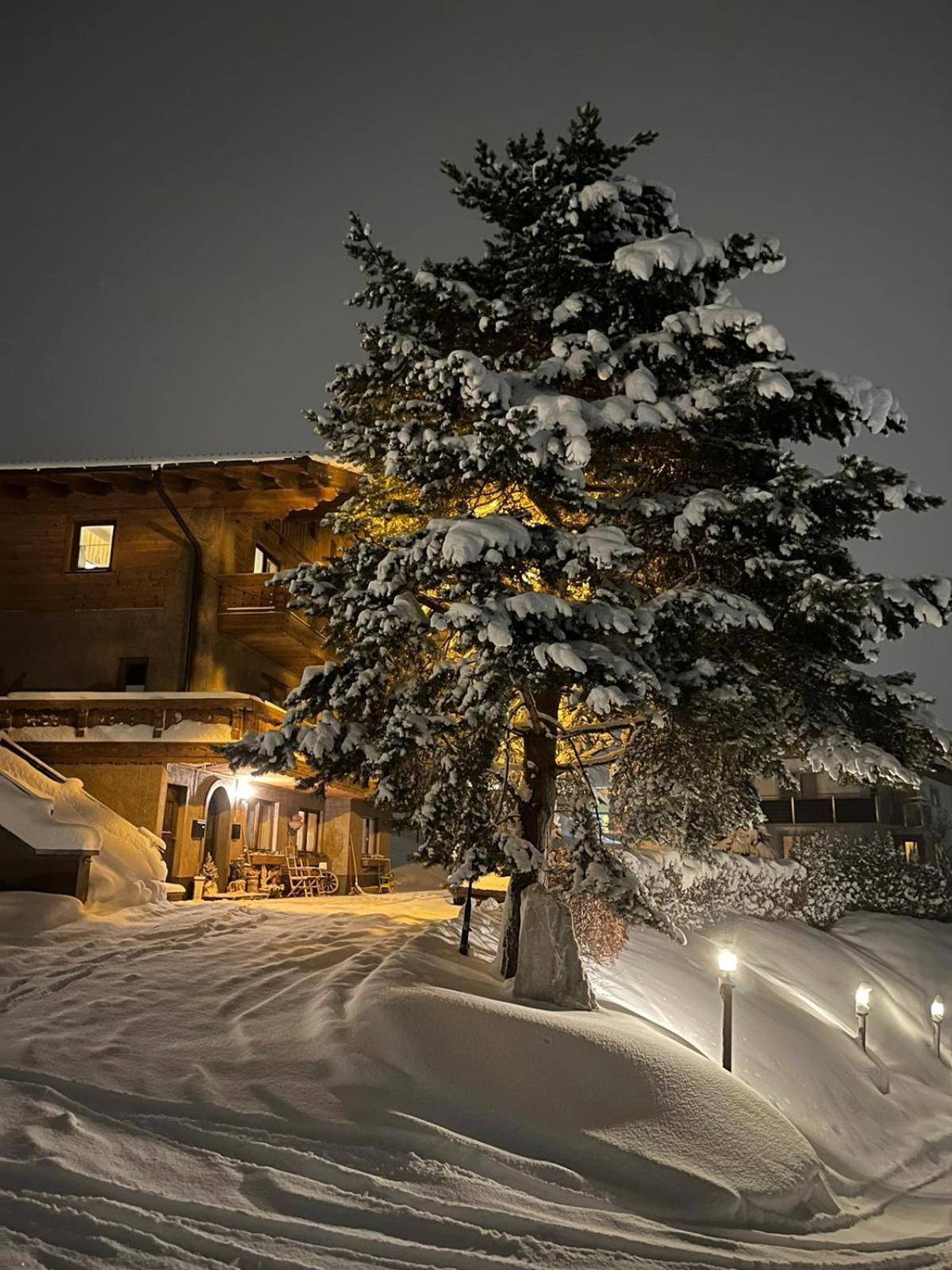 Apartment Alpenperle Schladming Εξωτερικό φωτογραφία